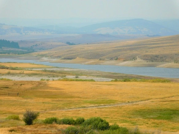 99BBBD33599E4F4810C256