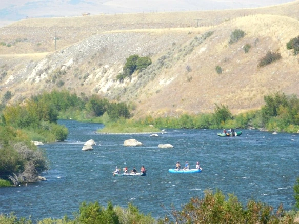 99CA3C3359ACE27709F904