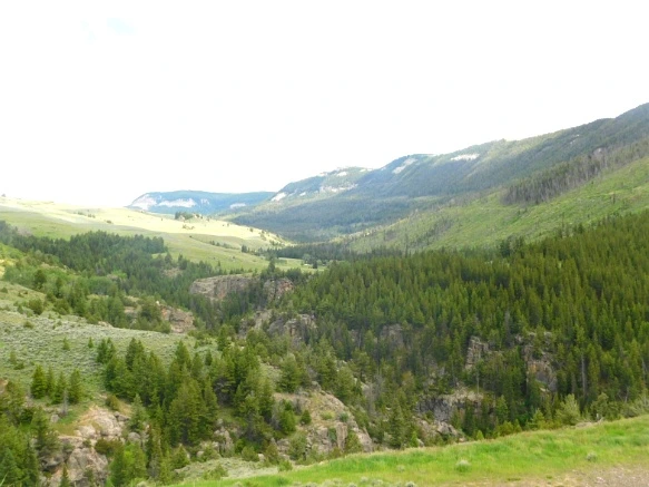 994672425B40276839FE74