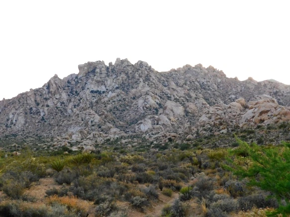 261D7B3A577B02E4036DA0