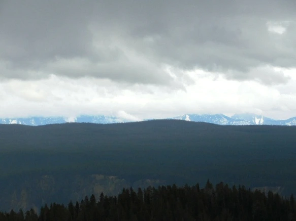 99CF95495B39A847294C4D