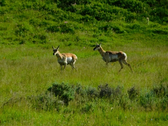 995DB53E5B3B01111FFFDB