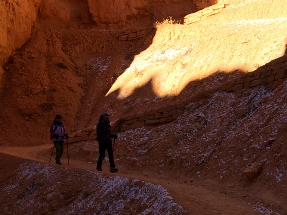 99064F335A1A4A7528BB2A