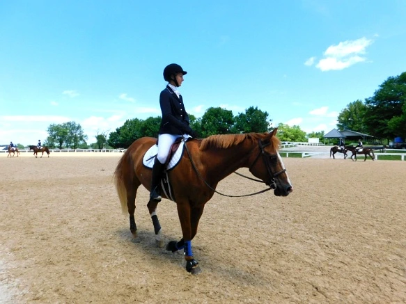 2638A333597D173A2B0B8B