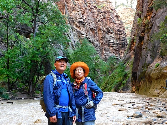 99320F4C5BC6856B1CCEF3