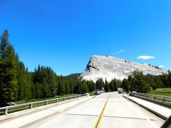 257C5A43577218D141A442