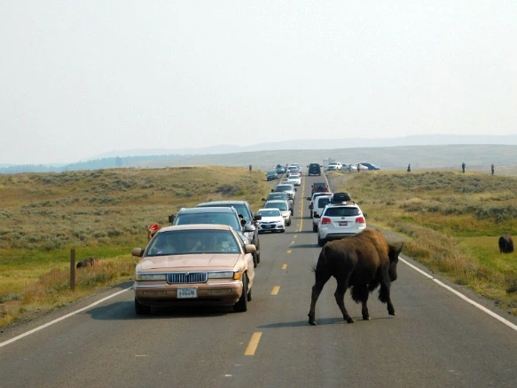 99411E3359AF0FF32A0B92