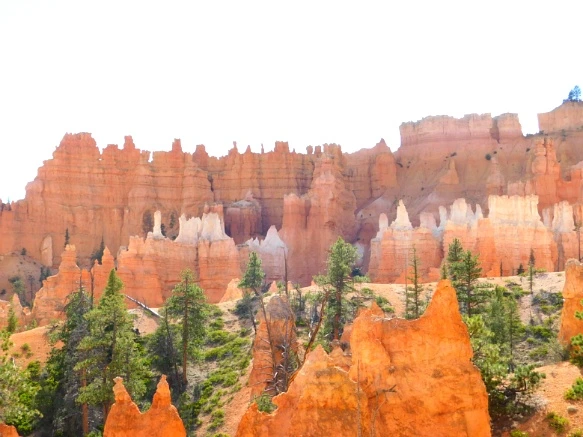 99DC1B3359B87AF7128569