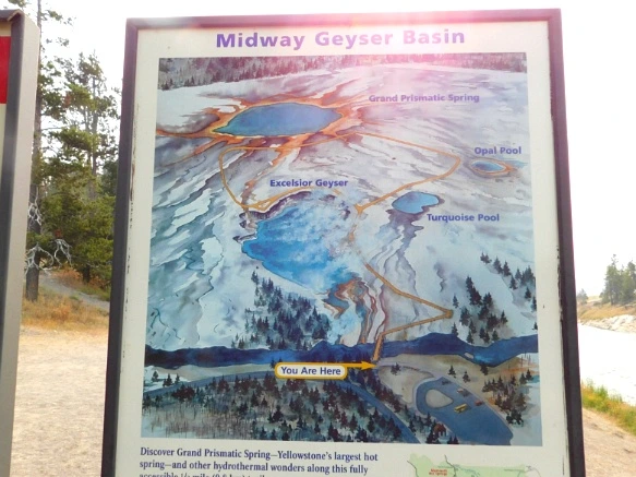 994DF63359AF0DEE29B459