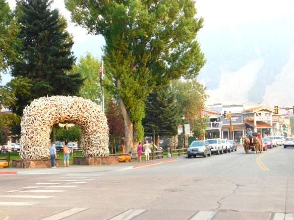 994D523359B1EA88275C78