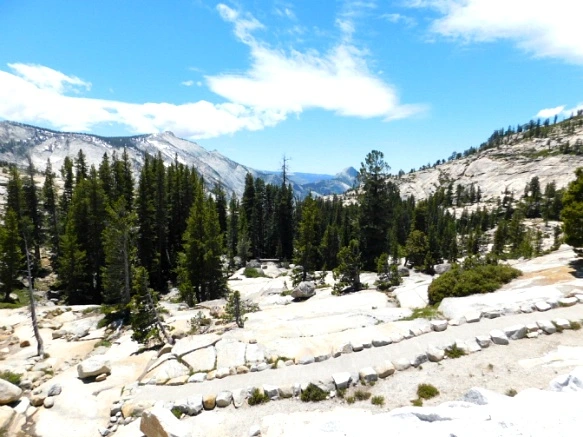 22351D3F57721918169BCB