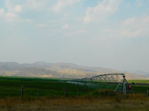 99F66A3359AB29011327CE