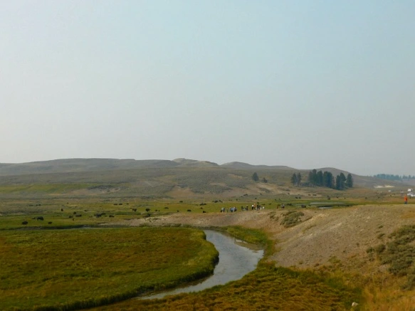 9945CD3359AF0FD726085B