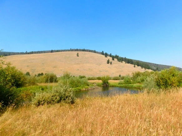 994F0C3359AB2BC00E1582