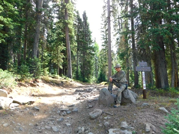 99E3893359BF48C40202CF