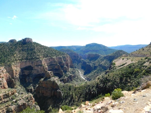 9918873359C879743398C5