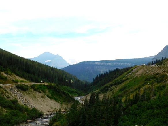 993DCC3359A103B62DC926