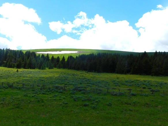 9984B6425B40276E3504EC