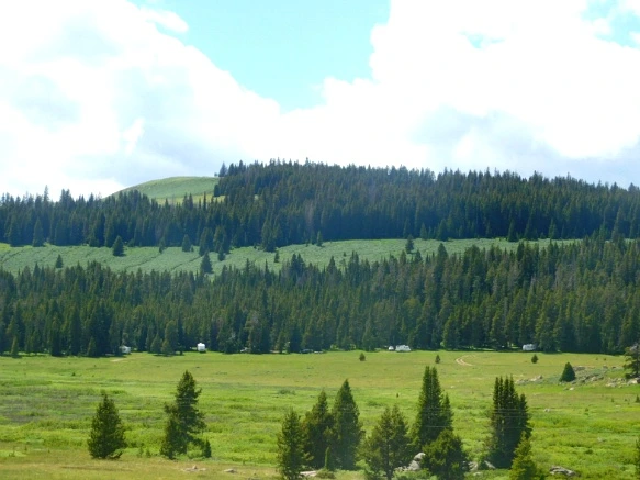 9948874F5B402775094EAE