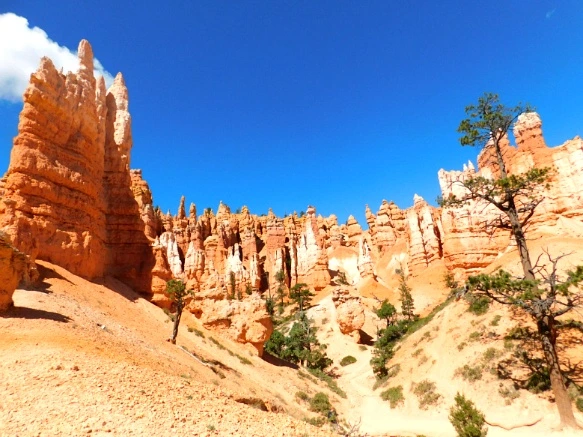 9922CA3359B878CD19D5D0