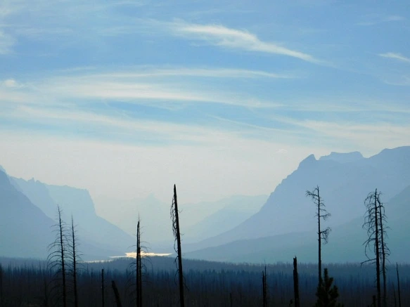 9945AC3359A0FBB3326606