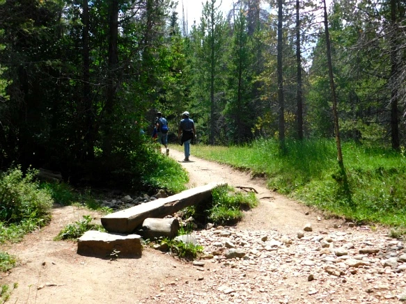 99F276485B6E6A101A39FA