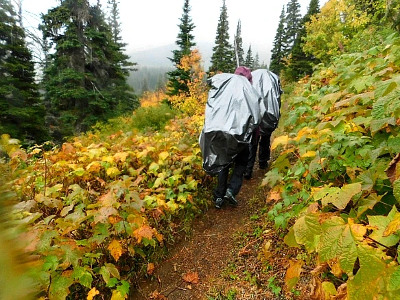 998C20445BAAFE311070AA