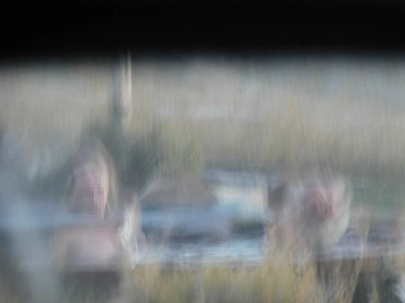 99C76D3C5BD1689F21AED4