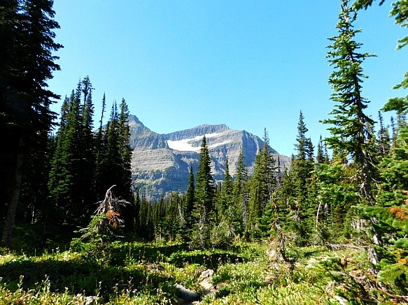 99D98E455B95AA9116C1E7