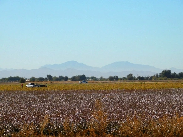 99FB82335A28AE5E0FA399