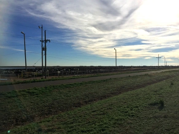 221C1047571C41D60DAFE5