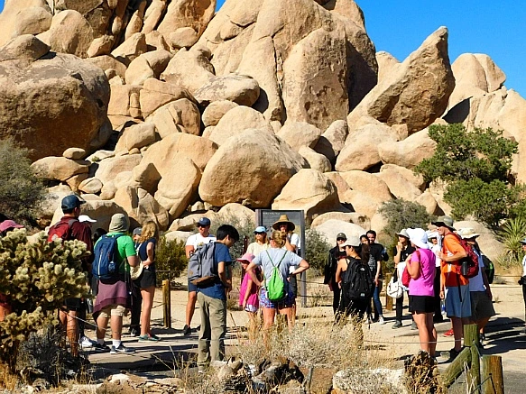 990567435BE4EF2016E9A8