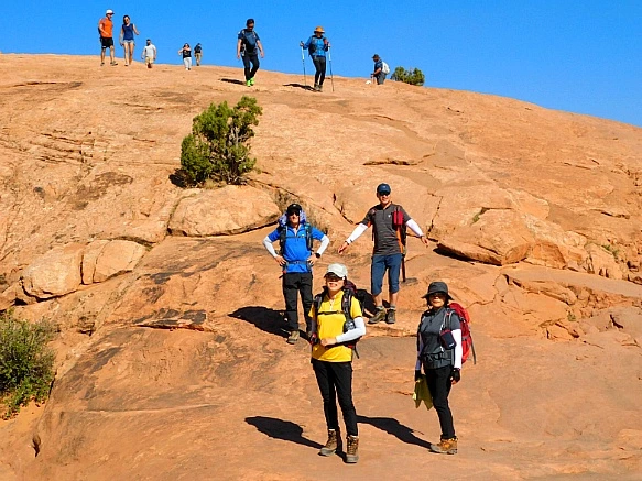 998363375BB6DC3632FF0A