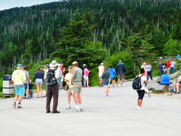 24364D4E595096EC33E967