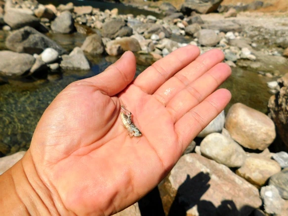 99D2D83359AA064A321440