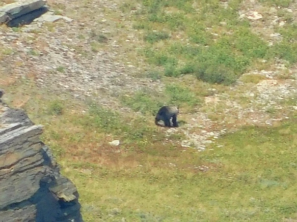 99A3C54C5B8F33490D4E38