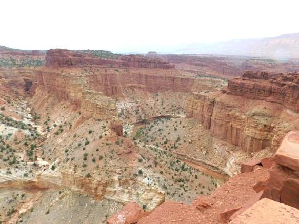 99EAD23359B74D50222BD3