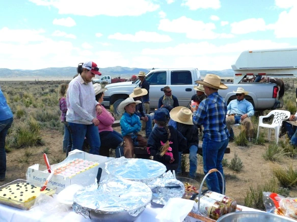 23665243593635343779DC