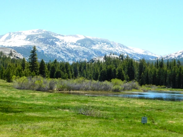 26056D43577218D43A305B