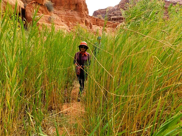 991C914F5BBC2D380C8854