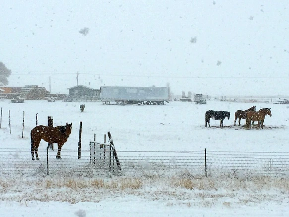 227233425701DC2D245DBD