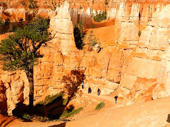 99F6524D5BC56ACE31E950