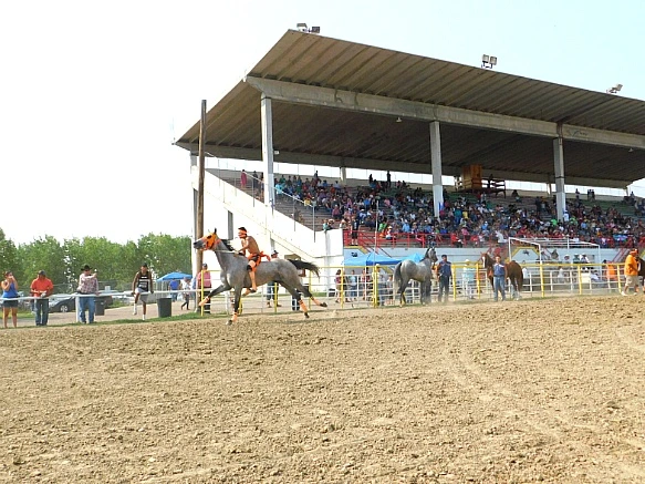 990F5C345B7D9EA2027587