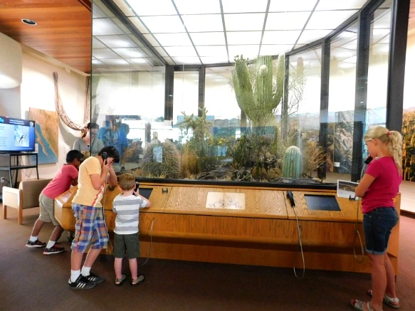 99D8B7335A2A10D0180321