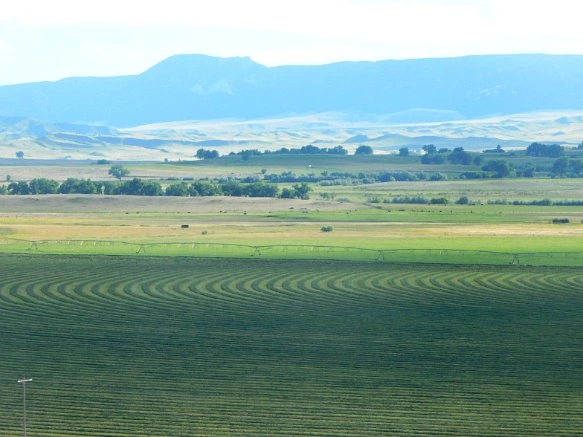 99BFD64A5B402B461612C3