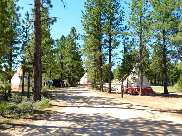 270F223C5769DA7C3040BA