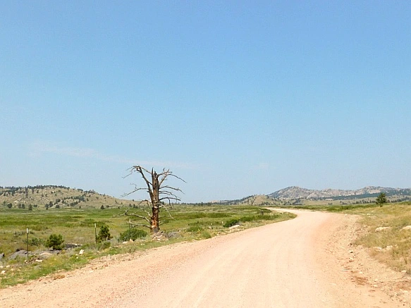 99231E4F5B7653501478E7