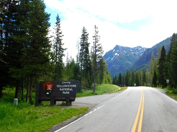 99EF913E5B3B024219D38F