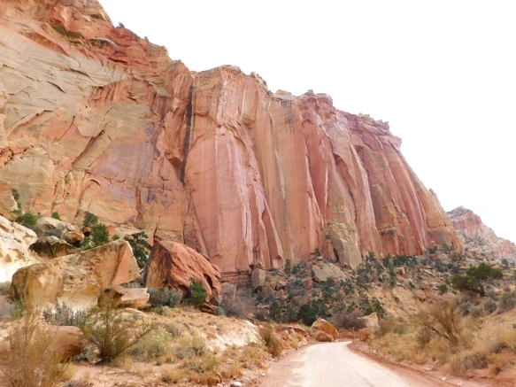 99A0C8335A13BB342BE78C