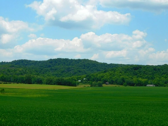 2239CF3959484FD330BC74